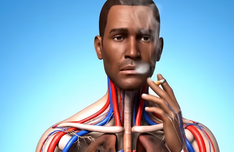 Фото: Untold Healing/YouTube